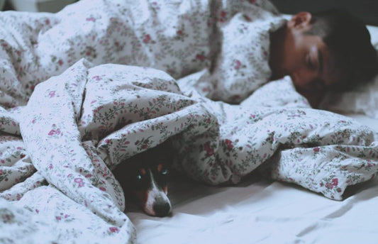 Ways to Sleep Better All Winter Long